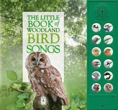 bokomslag Little Book of Woodland Bird Songs