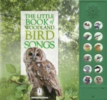 bokomslag The Little Book of Woodland Bird Songs