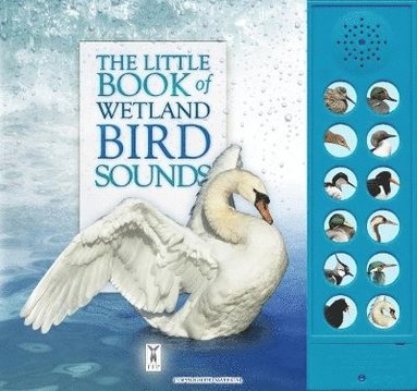 bokomslag The Little Book of Wetland Bird Sounds