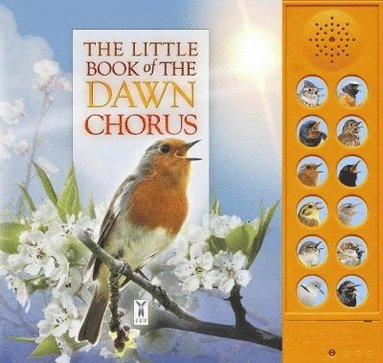 bokomslag Little Book of the Dawn Chorus