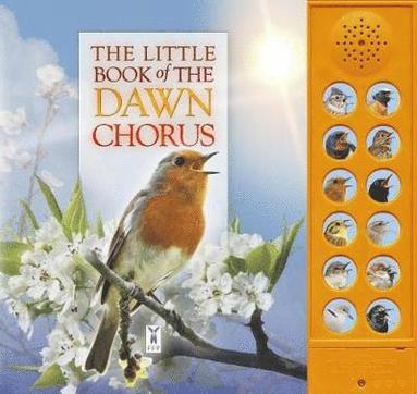 bokomslag The Little Book of the Dawn Chorus