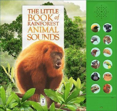 The Little Book of Rainforest Animal Sounds 1