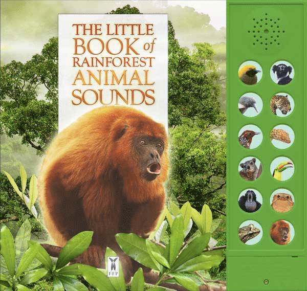 Andrea Pinnington - Little Book of Rainforest Animal Sounds, Kartonnage