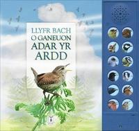 bokomslag LLYFR BACH O GANEUON ADAR YR ARDD