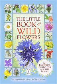 bokomslag The Little Book of Wild Flowers