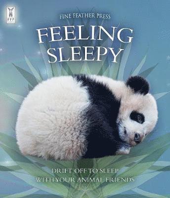 Andrea Pinnington, Caz Buckingham - Feeling Sleepy, Kartonnage