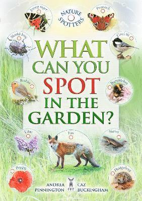 Caz Buckingham, Ben Hoare, Andrea Pinnington - What Can You Spot in the Garden?, Häftad