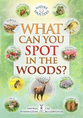 Caz Buckingham, Andrea Pinnington, Ben Hoare - What Can You Spot in the Woods?, Häftad