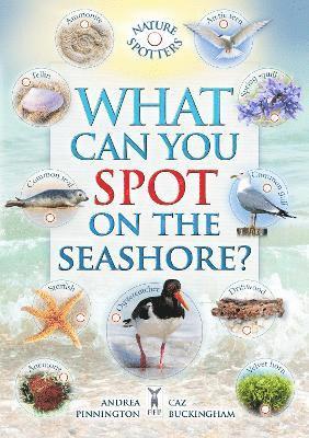 What Can You Spot on the Seashore? 1