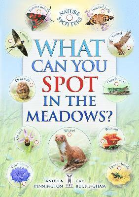 What Can You Spot in the Meadows? 1