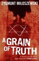 bokomslag Grain of Truth