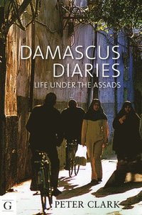 bokomslag Damascus Diaries