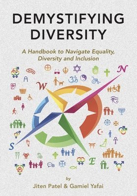 bokomslag Demystifying Diversity