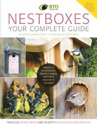 bokomslag Nestboxes: Your Complete Guide