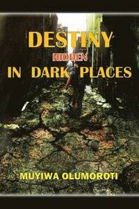 bokomslag Destiny Hidden in Dark Places