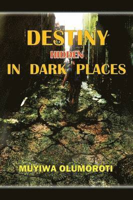 Destiny Hidden in Dark Places 1