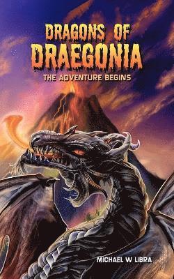 bokomslag Dragons of Draegonia - The Adventure Begins: Bk. 1