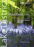 Woodland Walks 1