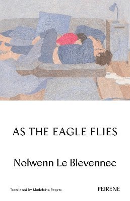 bokomslag As The Eagle Flies