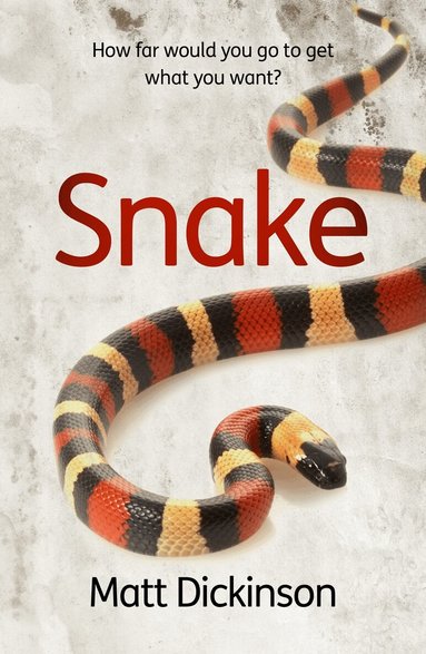 Matt Dickinson - Snake, Häftad