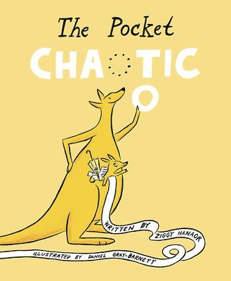 bokomslag Pocket Chaotic