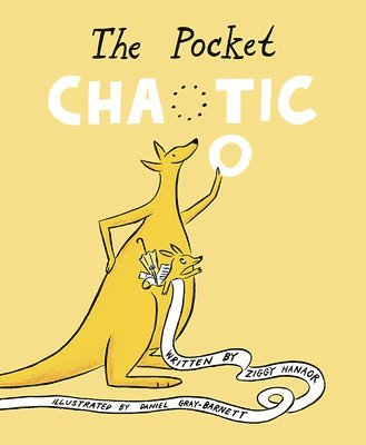 The Pocket Chaotic 1