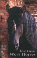 David Cooke - Work Horses, Häftad