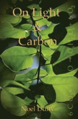 bokomslag On Light & Carbon