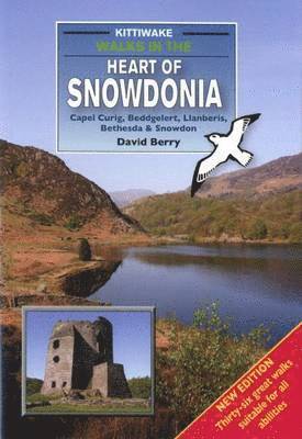 bokomslag Walks in the Heart of Snowdonia