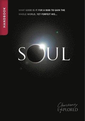 bokomslag Soul Handbook