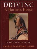 DRIVING A HARNESS HORSE