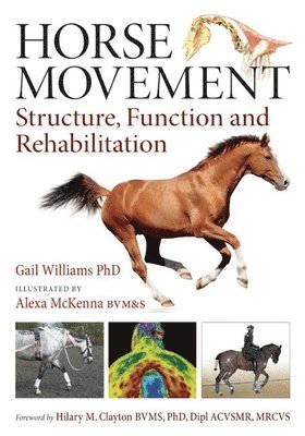 Horse Movement 1