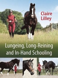 bokomslag Lungeing, Long-Reining and In-Hand Schooling
