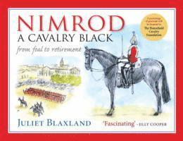 Nimrod: a Cavalry Black 1