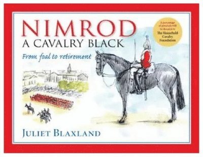 Nimrod: a Cavalry Black 1