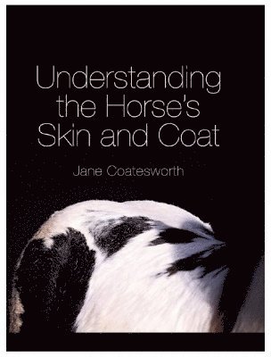 Understanding the Horse's Skin and Coat 1