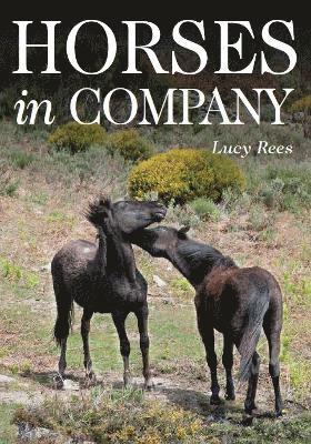 Lucy Rees - Horses in Company, Häftad