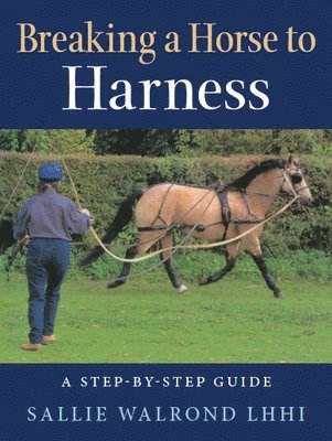 Breaking a Horse to Harness 1