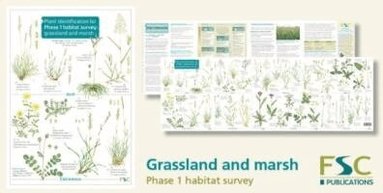 Hilary Wallace, Mark Duffell - Plant Identification for Phase 1 Habitat Survey: Grassland and Marsh, Häftad