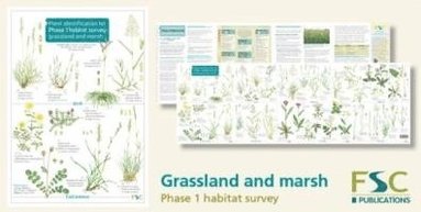 bokomslag Plant Identification for Phase 1 Habitat Survey: Grassland and Marsh