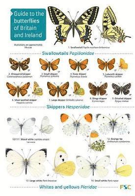 John Bebbington - Guide to the butterflies of Britain and Ireland, Häftad