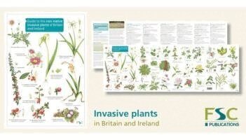Rebecca Farley-Brown - Guide to the non-native invasive plants of Britain and Ireland, Häftad