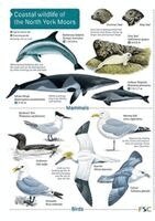 Field Studies Council, Whitby Naturalists' Club - Coastal wildlife of the North York Moors, Häftad