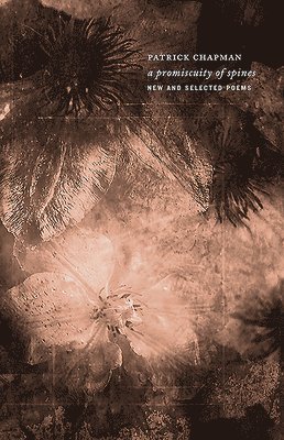 A Promiscuity of Spines: New & Selected Poems 1