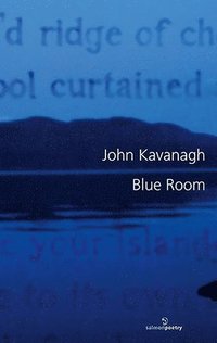 bokomslag Blue Room