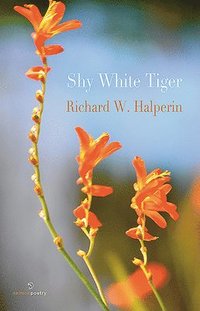 bokomslag Shy White Tiger