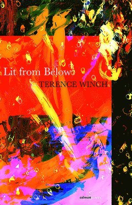 Terence Winch - Lit from Below, Häftad