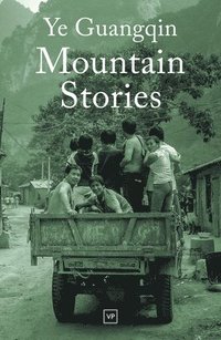 bokomslag Mountain Stories