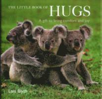 Lois Blyth - Blyth, L: Little Book of Hugs, Inbunden