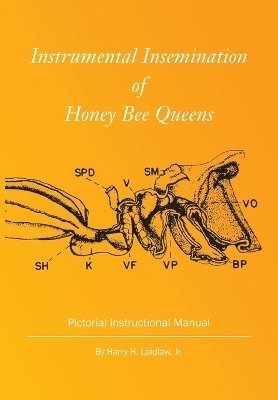 bokomslag Instrumental Insemination of Honey Bee Queens